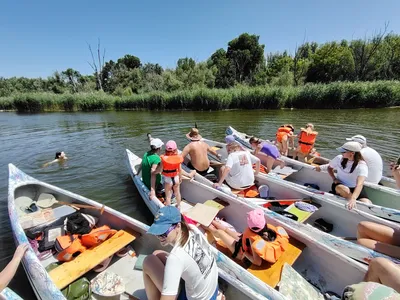 Miért válassz minket?